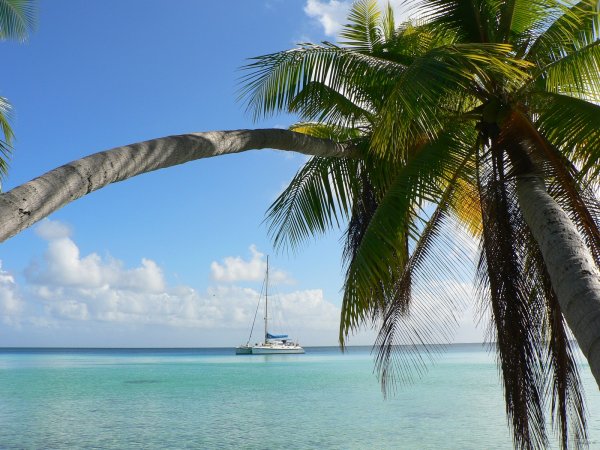 53- Imagine sous les cocotiers 
